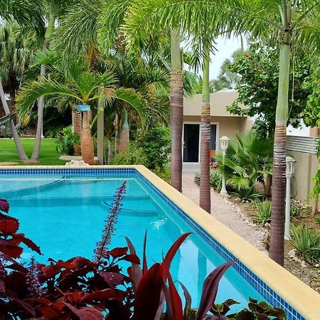 Hibiscus Beach House Jan Thiel Екстериор снимка